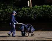 Postal worker wearing face mask pushing mail cart